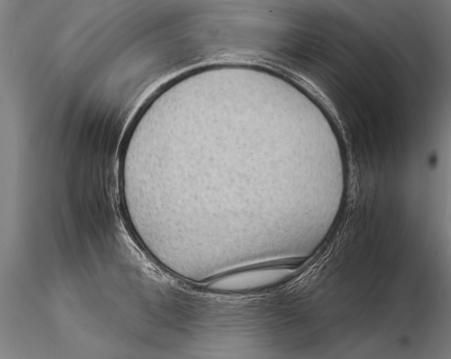 X0000116060996200912111524