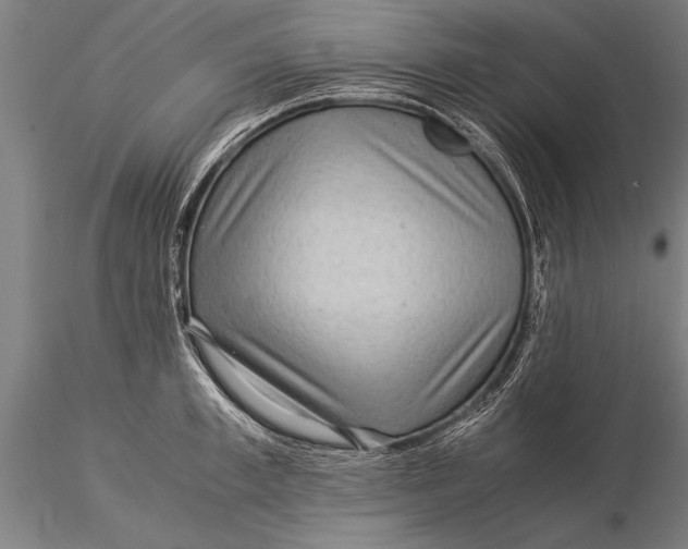 X0000116060997200912111524