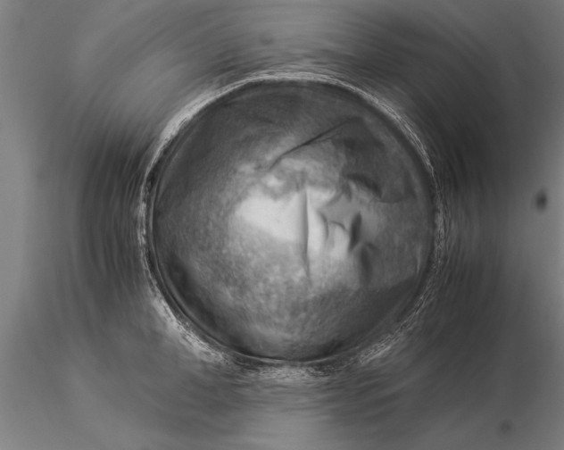 X0000116060998200912111524