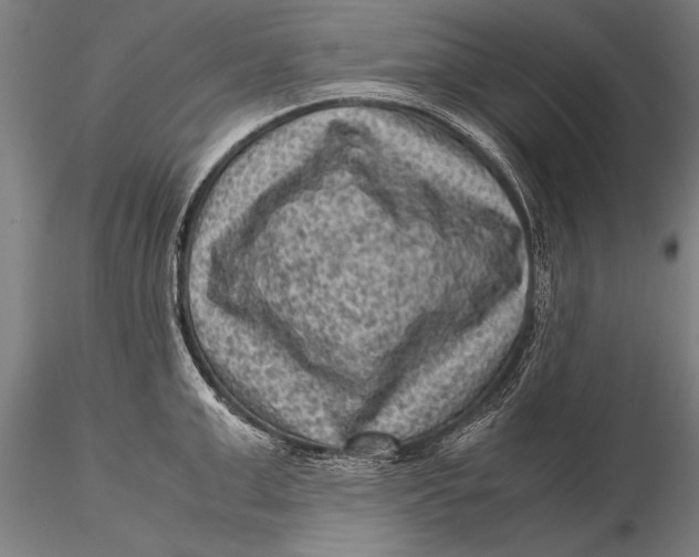 X0000116060999200912111524