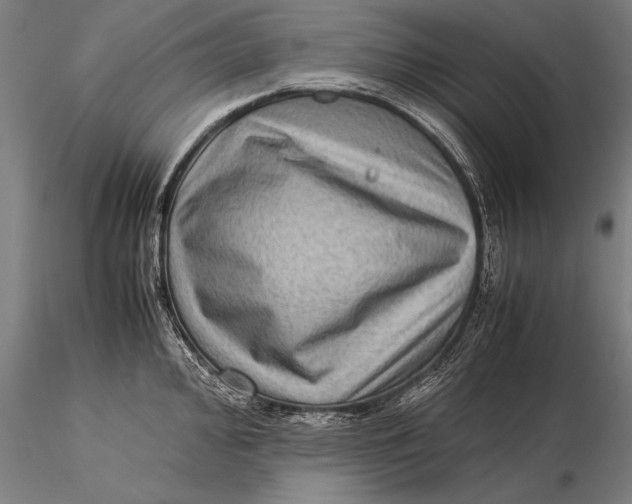 X0000116061000200912111524