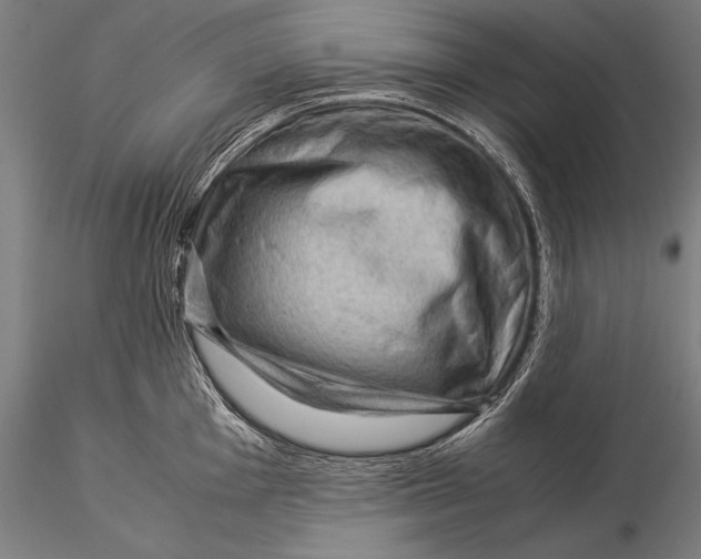 X0000116061001200912111524