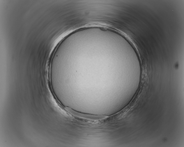 X0000116061003200912111524