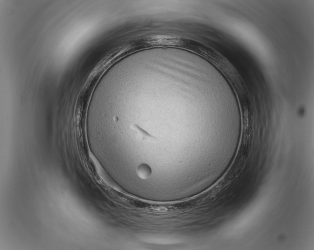 X0000116061005200912111523