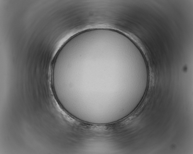 X0000116061006200912111523