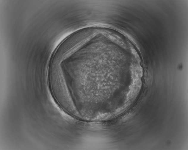 X0000116061007200912111523