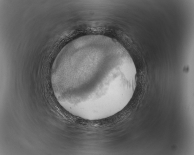 X0000116061009200912111523