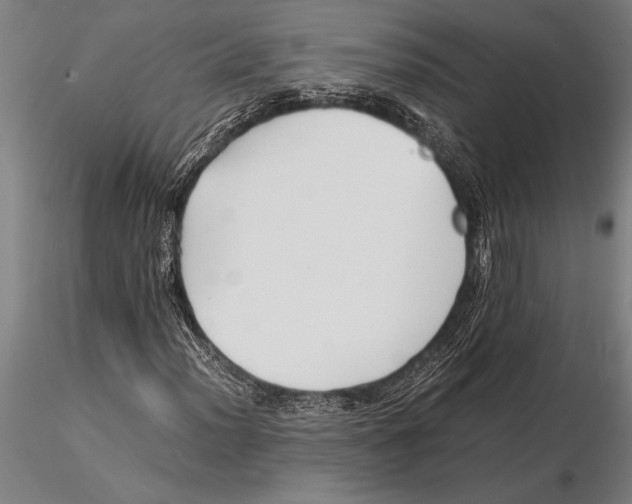 X0000116061012200912111523