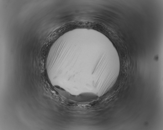 X0000116061013200912111523