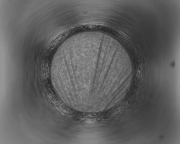 X0000116061014200912111523