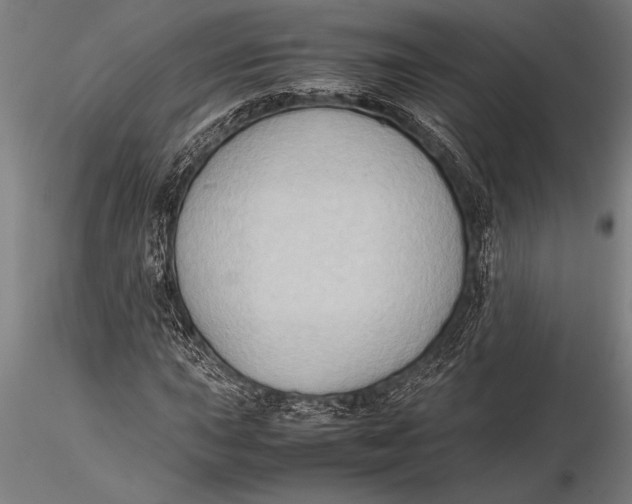 X0000116061015200912111523