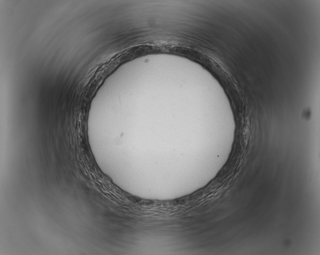 X0000116061016200912111523