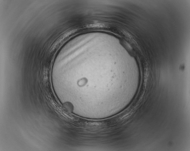 X0000116061017200912111523