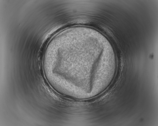 X0000116061018200912111523