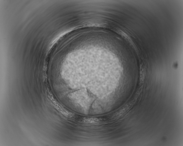 X0000116061019200912111523