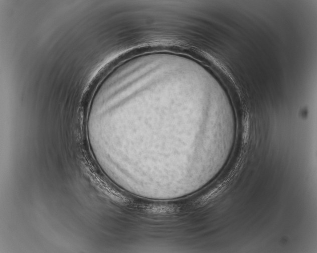 X0000116061021200912111523