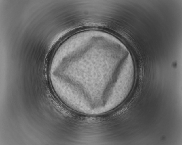 X0000116061022200912111523