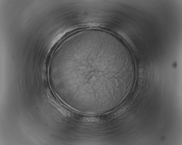 X0000116061023200912111523