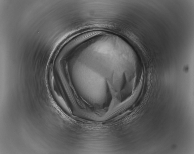 X0000116061024200912111523