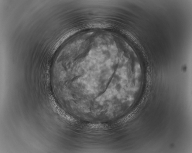 X0000116061025200912111523