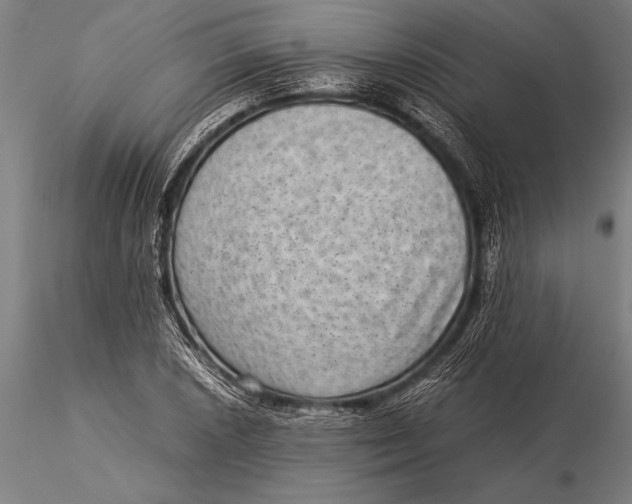 X0000116061026200912111523