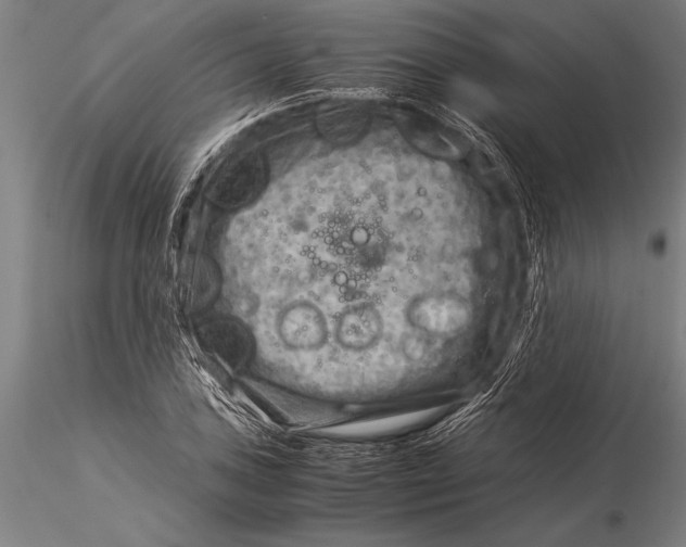 X0000116061027200912111523