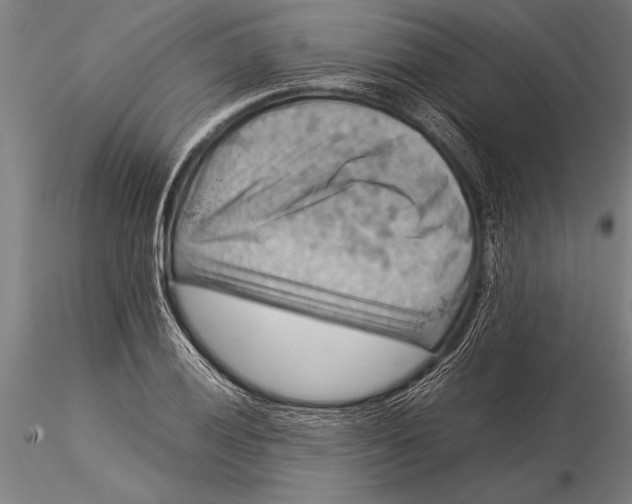 X0000116061028200912111523