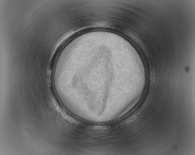 X0000116061029200912111523