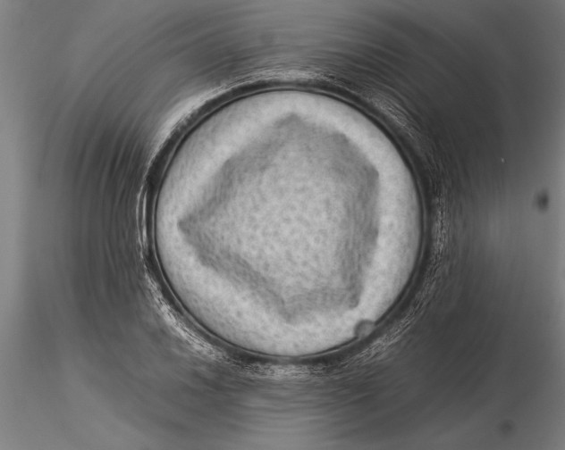 X0000116061030200912111523