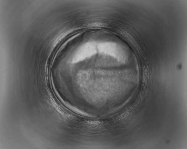 X0000116061031200912111523