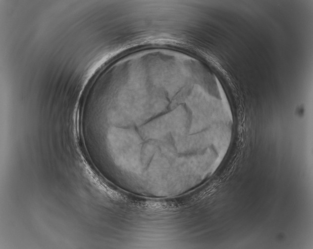 X0000116061032200912111523