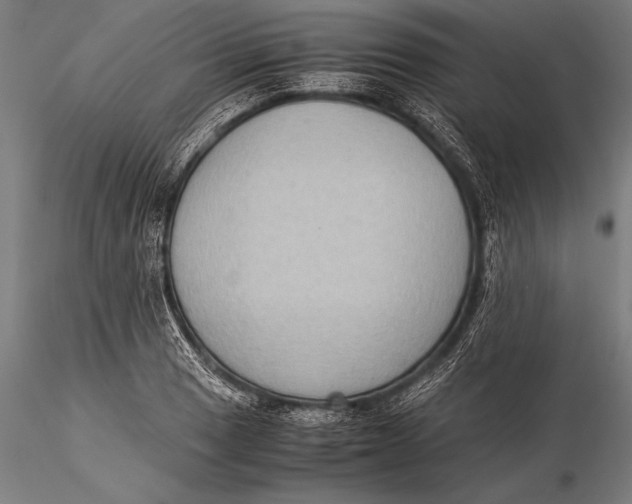 X0000116061033200912111523