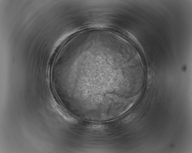 X0000116061035200912111523