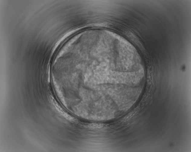 X0000116061036200912111523