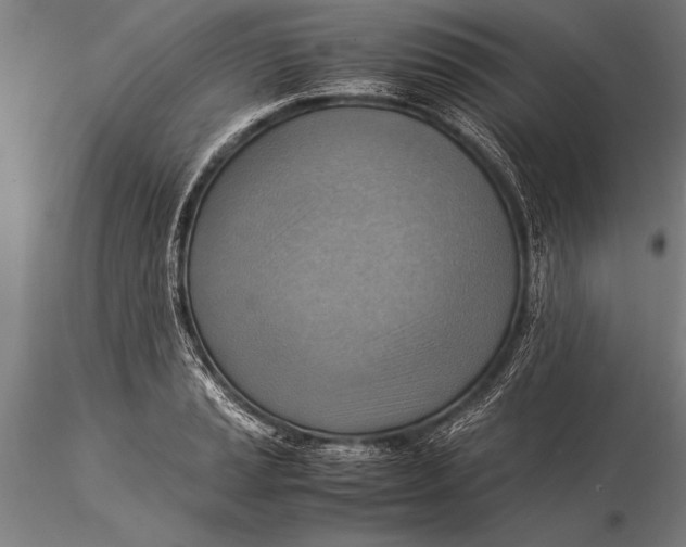 X0000116061037200912111523