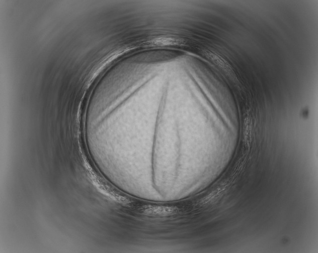 X0000116061039200912111523