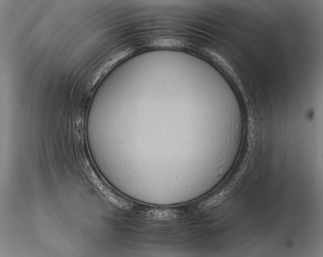 X0000116061041200912111523