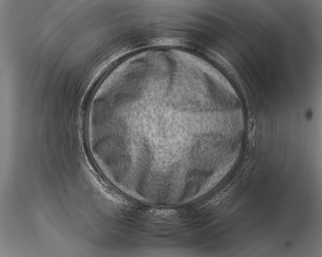 X0000116061043200912111523