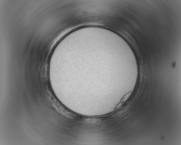 X0000116061044200912111523