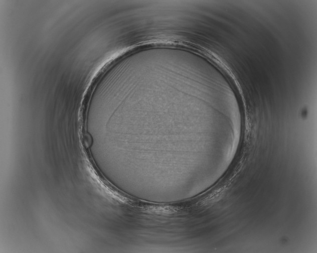 X0000116061045200912111523