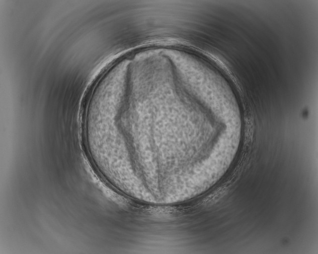 X0000116061046200912111523