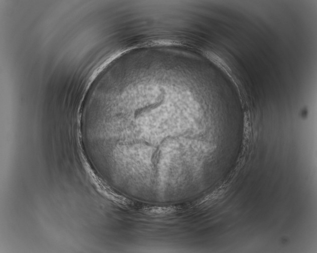 X0000116061047200912111523