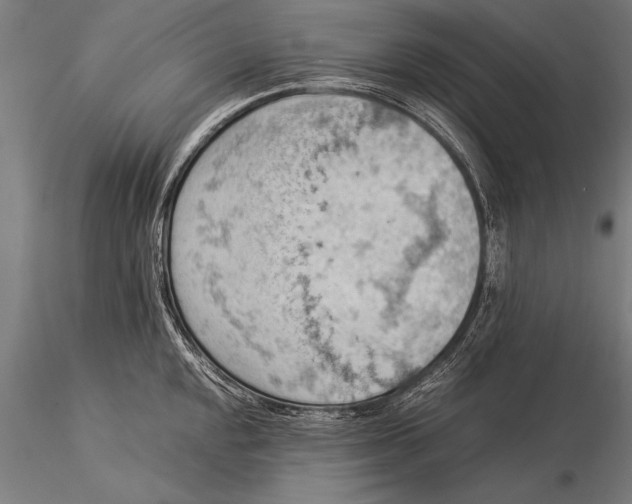 X0000116061048200912111523