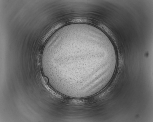 X0000116061049200912111523