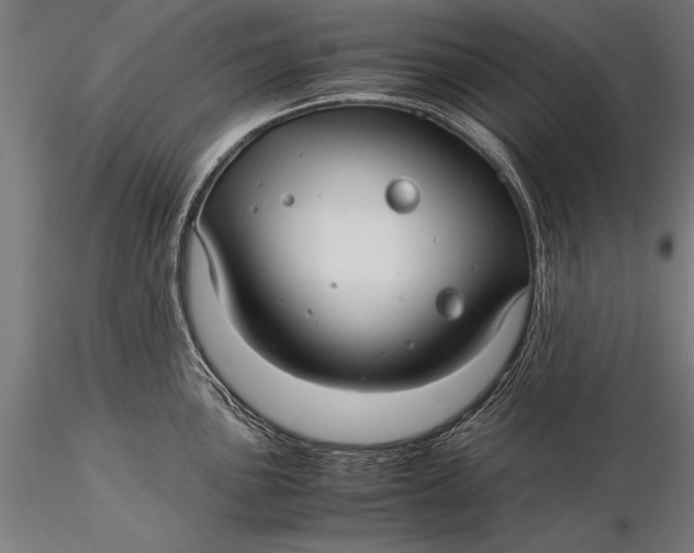 X0000116061051200912111523