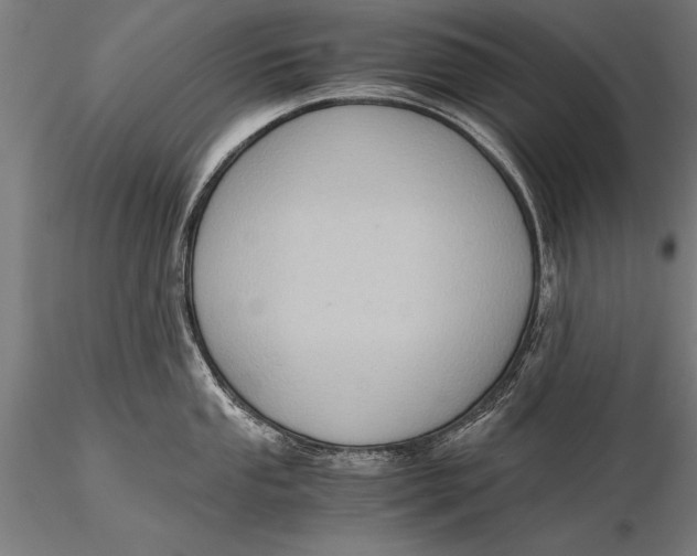 X0000116061053200912111523