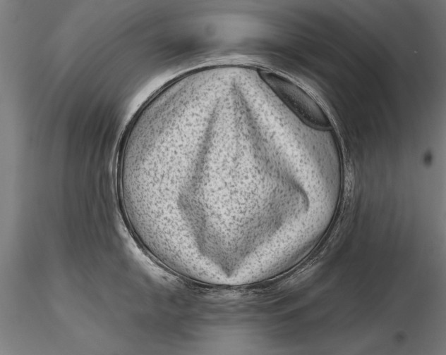 X0000116061054200912111523