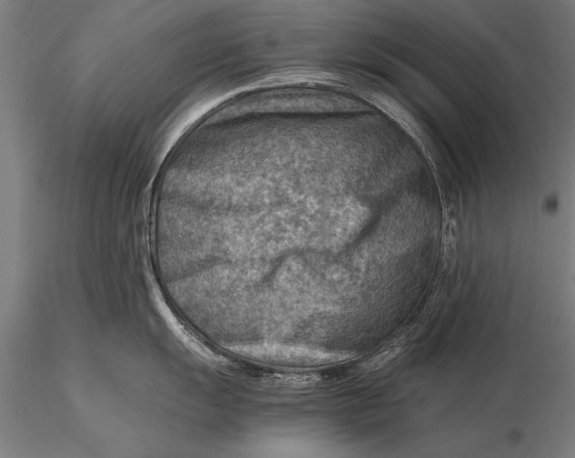 X0000116061055200912111523