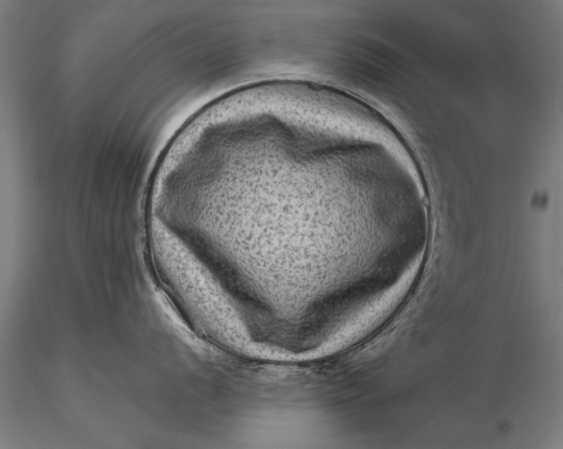 X0000116061056200912111523