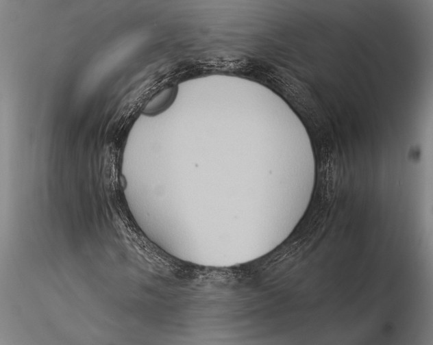 X0000116061058200912111523